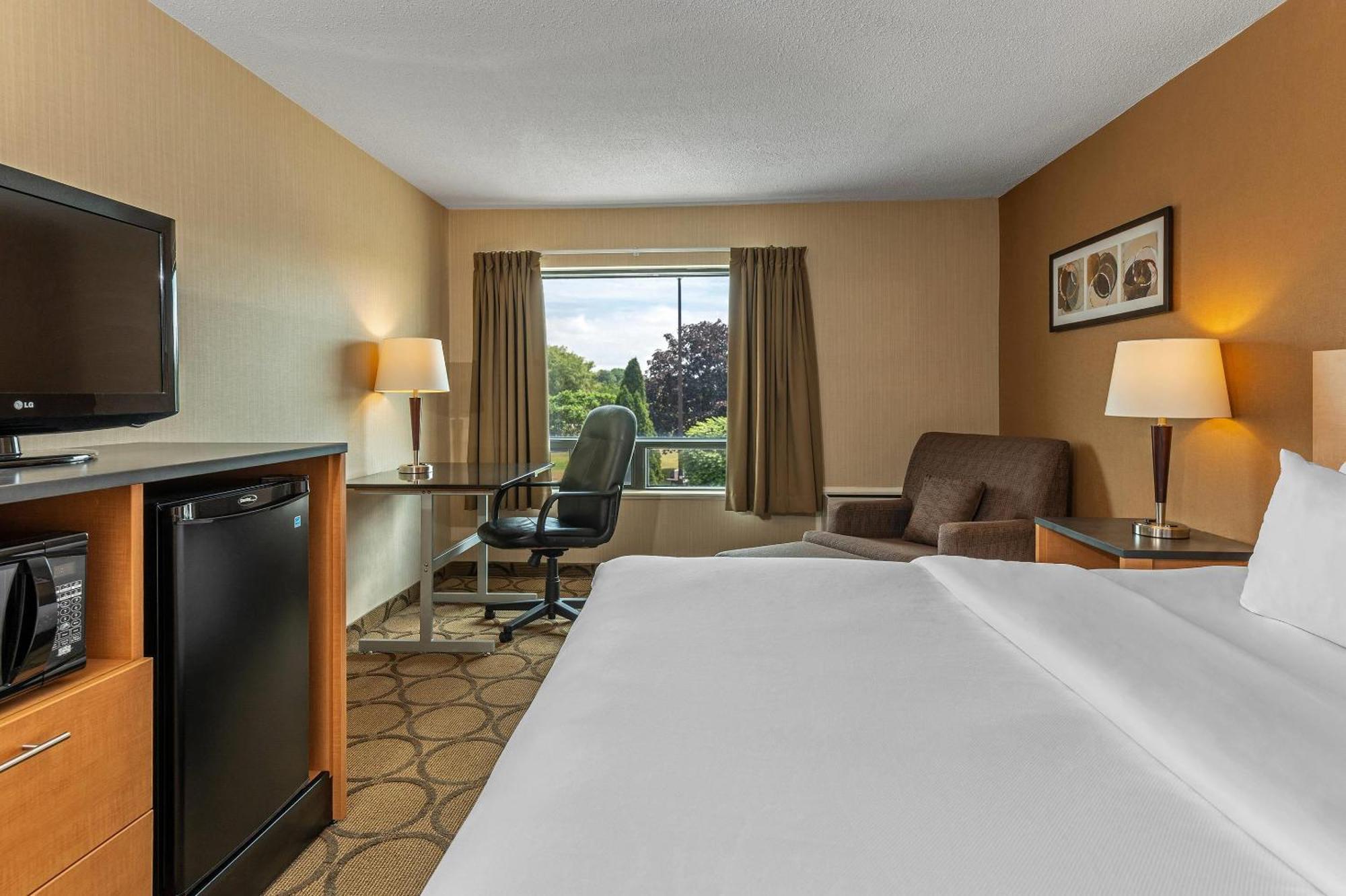 Standard King Room